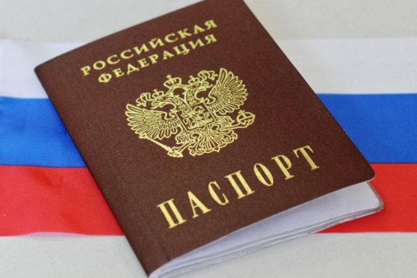 Нарко маркетплейсы