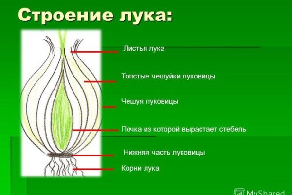 Замена hydra