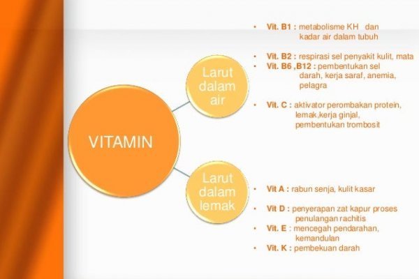 Kra42.at