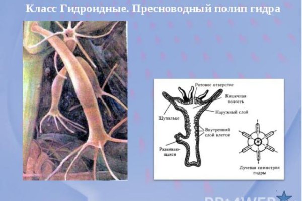 Онлайн магазин наркотиков