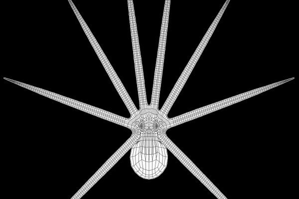 Кракен ссылка 2web