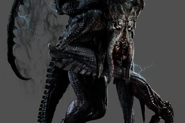 Kraken 5 at