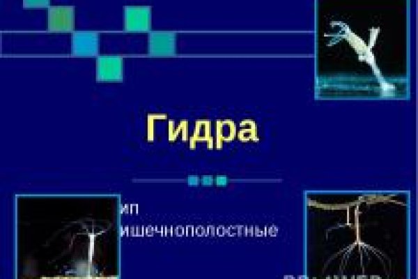 Сайт кракен официальный ссылка onion