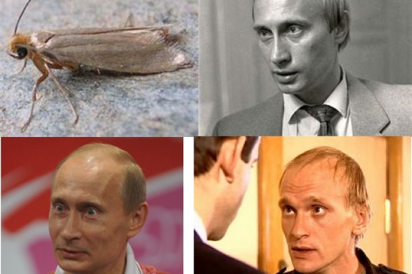 Kraken tor onion зеркало