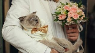 Магазины с наркотиками